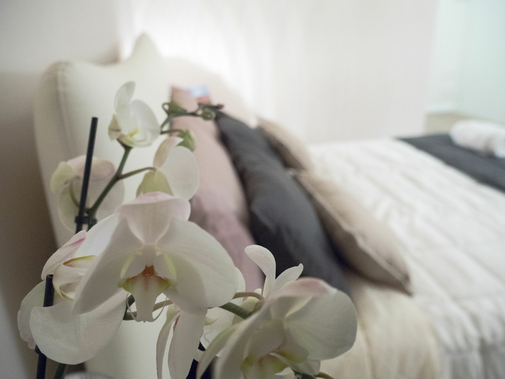 Relais Love Верона Екстериор снимка